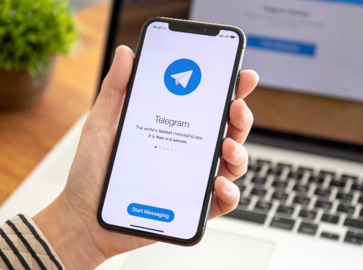 Городской telegram-чат Общественной палаты Московской области