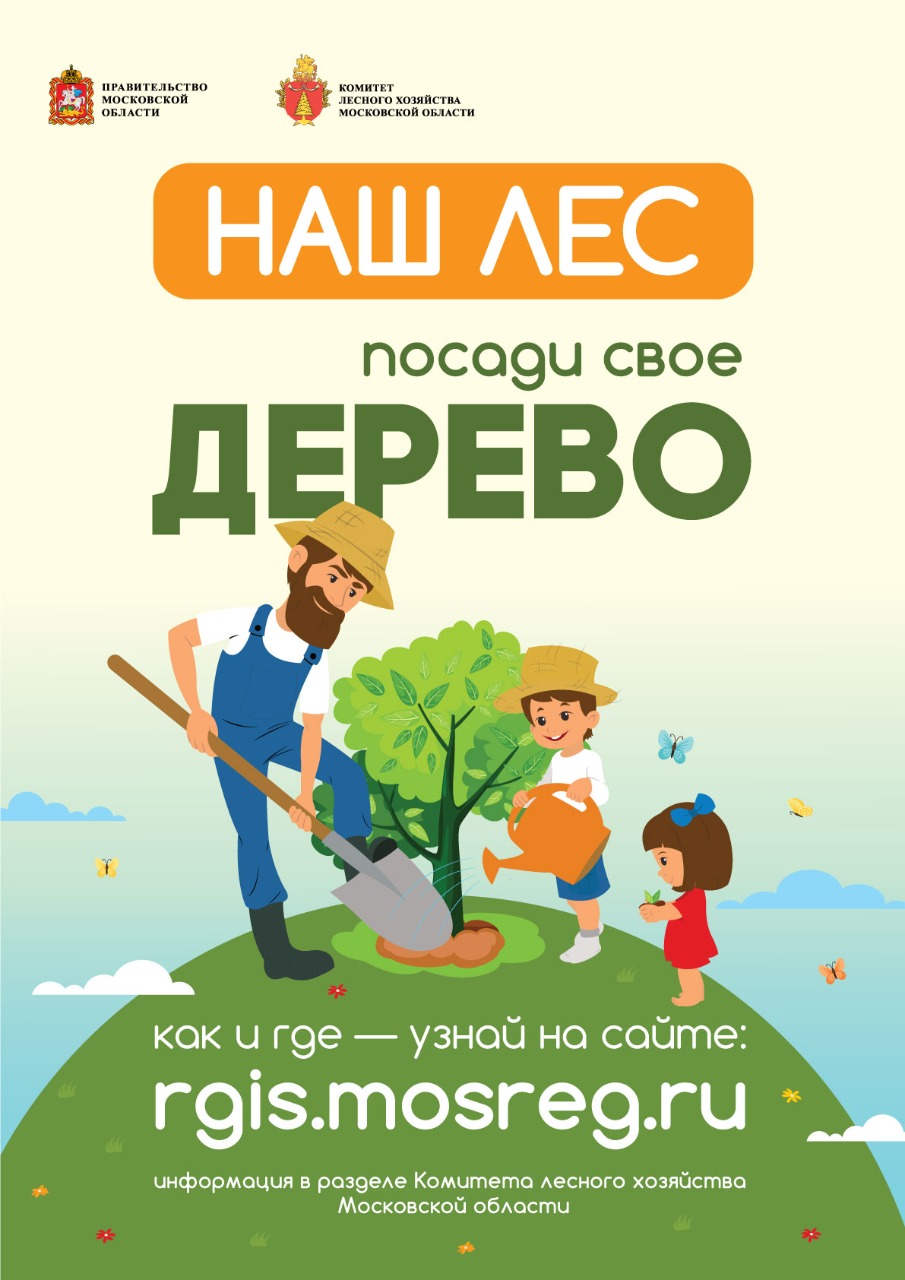Посади свое дерево